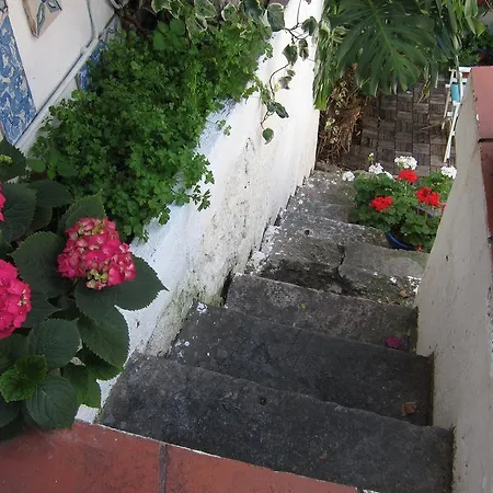 奥里韦林阿旅馆 Lisboa