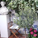 Oliveirinha